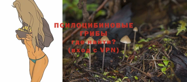 метадон Бородино