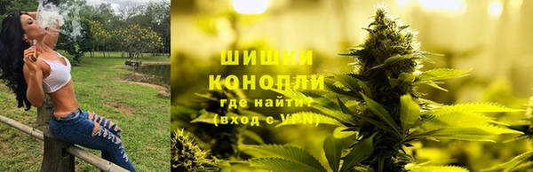 трава Бронницы