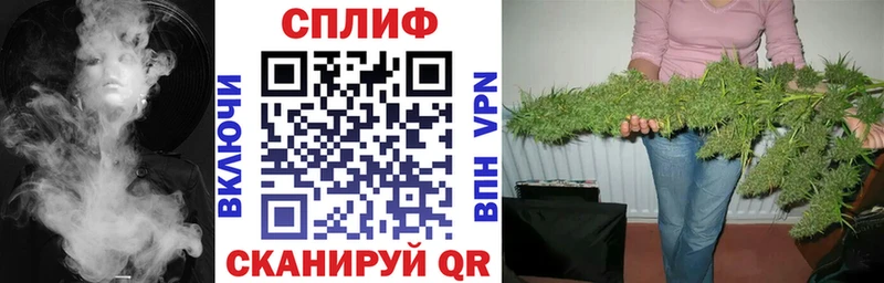 Конопля OG Kush Сретенск